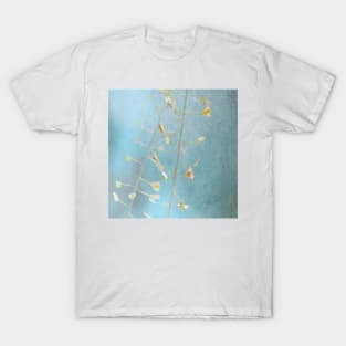 Simple and beautiful T-Shirt